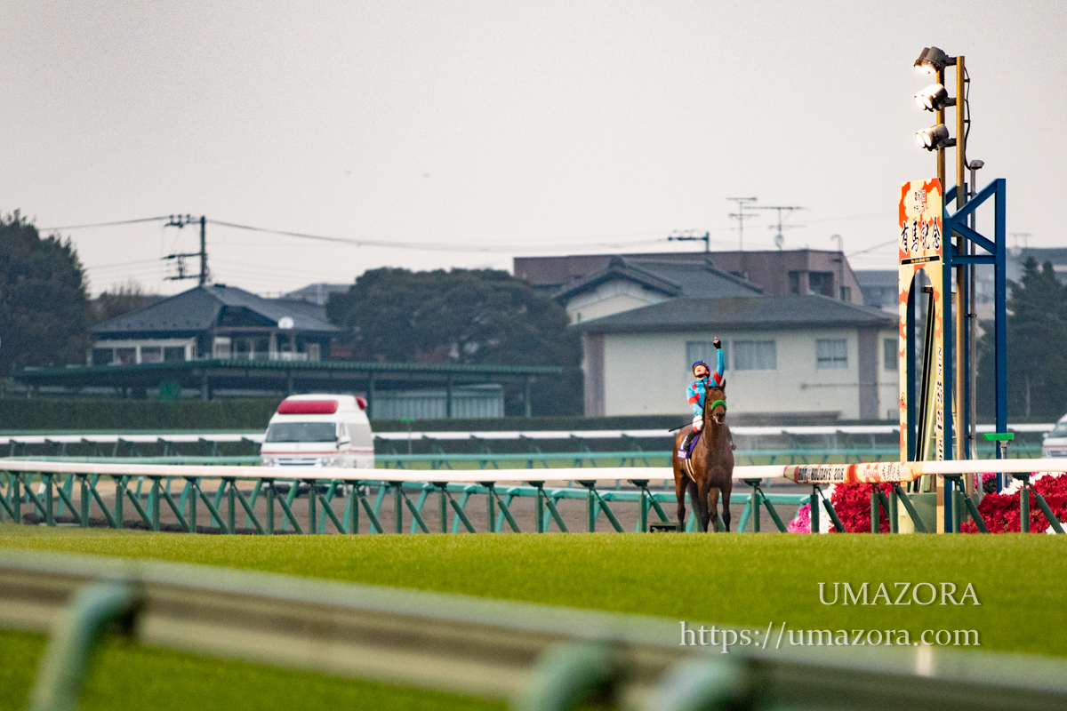 Amazon.co.jp: ブラストワンピース 第63回 有馬記念 GⅠ 優勝