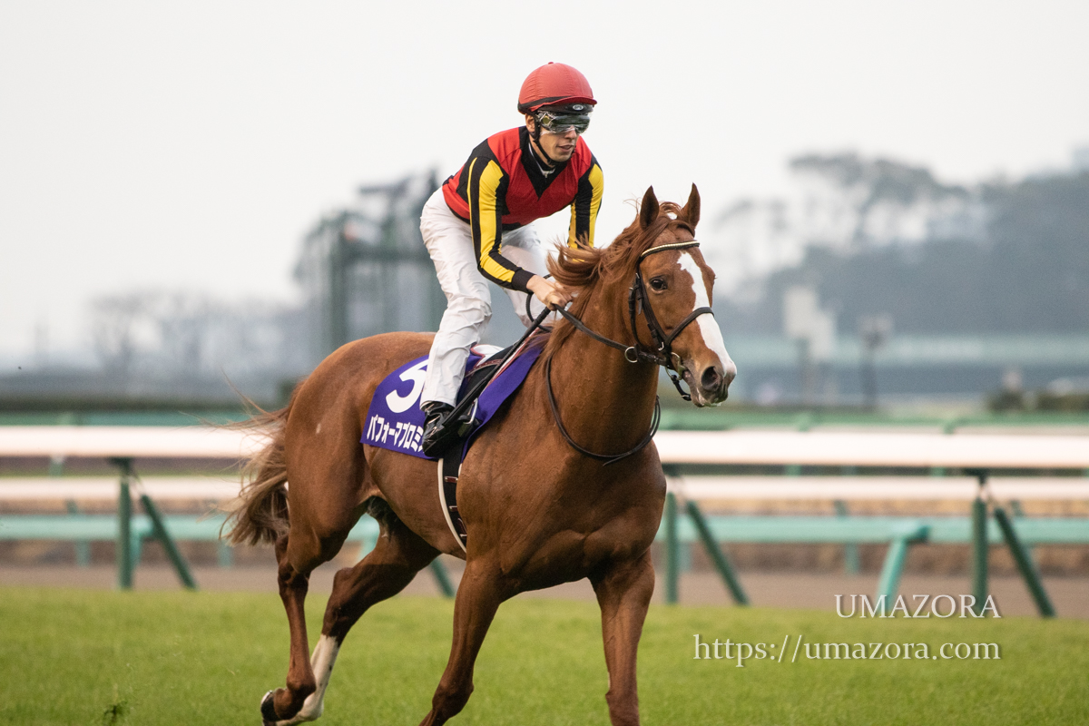 競馬写真】2018年 第63回有馬記念(GI) ブラストワンピース – 【馬空-UMAZORA-】競馬写真・オリジナル競馬壁紙・一口馬主ブログ