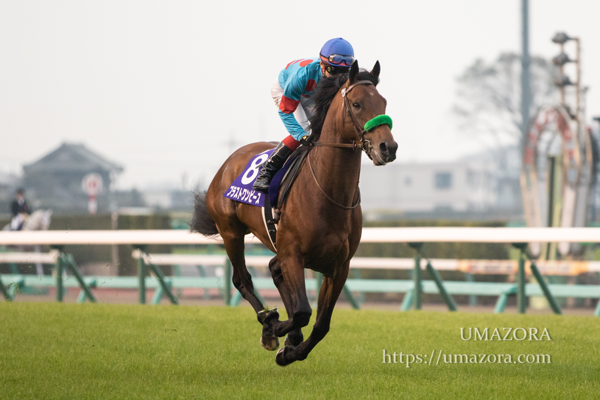 競馬写真】2018年 第63回有馬記念(GI) ブラストワンピース – 【馬空-UMAZORA-】競馬写真・オリジナル競馬壁紙・一口馬主ブログ