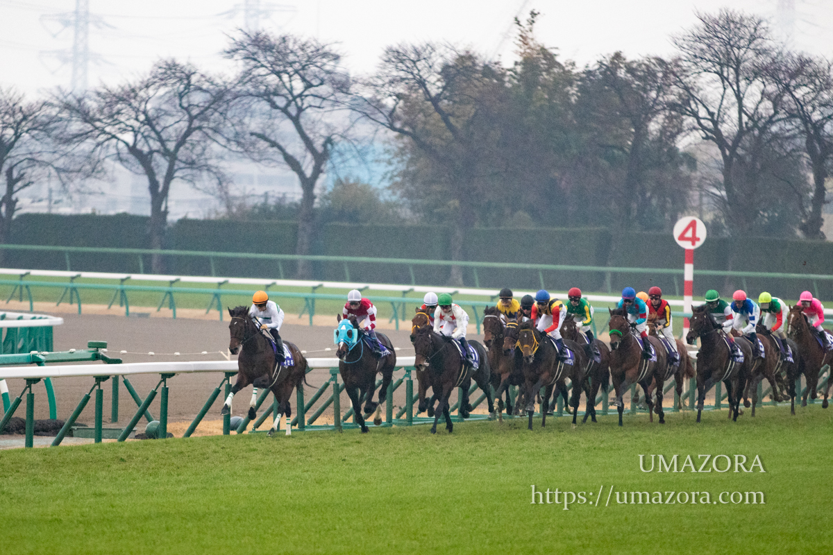 Amazon.co.jp: ブラストワンピース 第63回 有馬記念 GⅠ 優勝