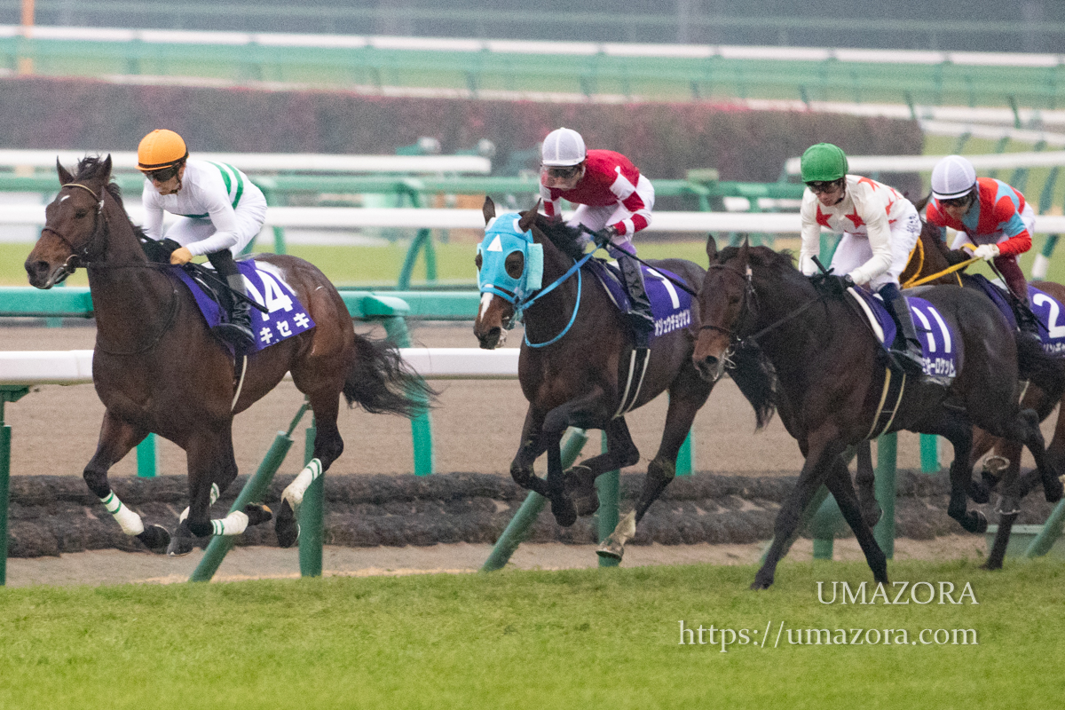 競馬写真】2018年 第63回有馬記念(GI) ブラストワンピース
