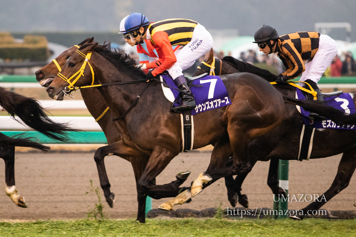 Amazon.co.jp: ブラストワンピース 第63回 有馬記念 GⅠ 優勝