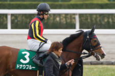 2014京都牝馬S-1  