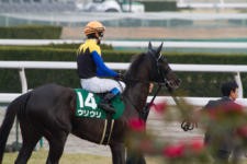 2014京都牝馬S-2  