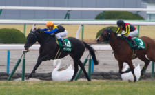 2014京都牝馬S-5  