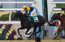 2014京都牝馬S-6  