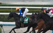 2014京都牝馬S-8  