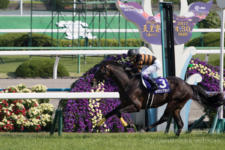 競馬写真】2017年 第155回天皇賞・春(GI) キタサンブラック