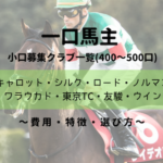 【一口馬主】小口募集クラブ比較|特徴・評価 ・おすすめ・選び方|400~500口