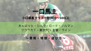 【一口馬主】小口募集クラブ比較|特徴・評価 ・おすすめ・選び方|400~500口