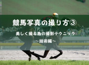 【技術編】競馬写真の撮り方③ 美しく撮る為の撮影テクニック