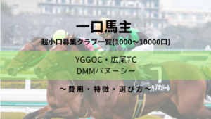 【一口馬主】超小口募集クラブ比較|特徴・評価 ・おすすめ・選び方|1000~2000口