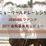 【一口馬主】ニューワールドレーシング URAKAWAファンド 募集馬評価