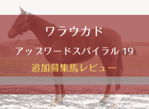 ワラウカド2019年産追加募集馬(アップワードスパイラルの19)レビュー