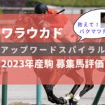 【募集馬評価】アップワードスパイラル23【ワラウカド】