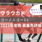 【募集馬評価】ゴーノニゴー23【ワラウカド】