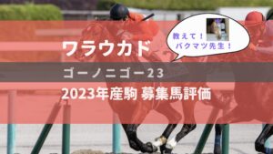 【募集馬評価】ゴーノニゴー23【ワラウカド】