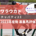 【募集馬評価】チャパティ23【ワラウカド】