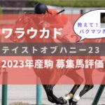 【募集馬評価】テイストオブハニー23【ワラウカド】