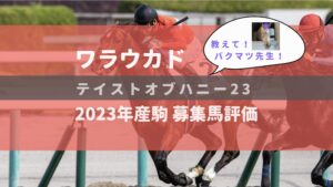 【募集馬評価】テイストオブハニー23【ワラウカド】
