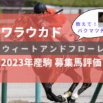 【募集馬評価】スウィートアンドフローレス23【ワラウカド】