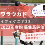 【募集馬評価】イフィゲニア23【ワラウカド】