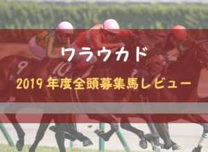 【一口馬主】2019年度 ワラウカド 全頭評価・募集馬レビュー