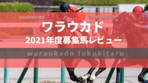 【一口馬主】2021年度 ワラウカド 全頭評価・募集馬レビュー