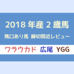 【一口馬主】残口ありの2018年産2歳募集馬レビュー|ワラウカド・広尾・YGG