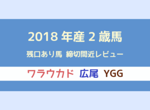 【一口馬主】残口ありの2018年産2歳募集馬レビュー|ワラウカド・広尾・YGG